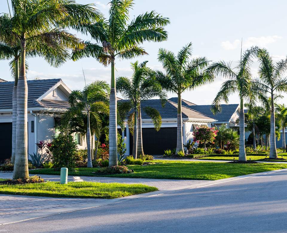 A street with upscale residential homes